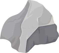Your pet rock